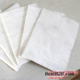 土工材料在線咨詢(xún)指南 了解土工布與土工膜的應(yīng)用與優(yōu)勢(shì)